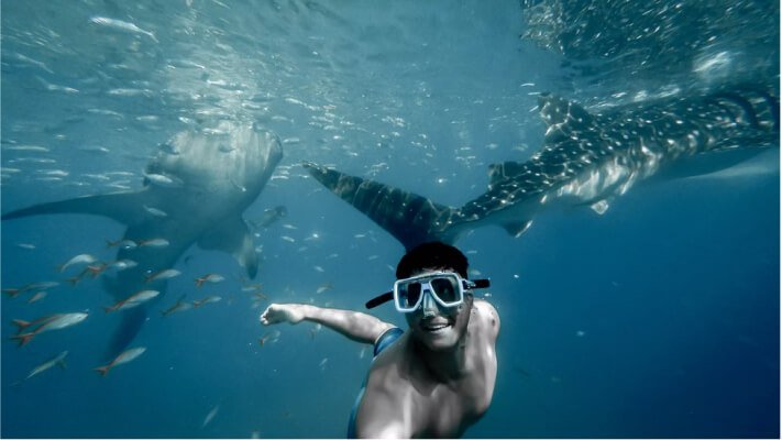 Swim with the gentle whale sharks, for example.